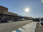 【スーパー】サニーマート とさのさと御座店まで800ｍ