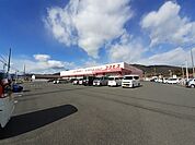 【ドラッグストア】コスモス 蓮池店まで250ｍ