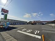 【ドラッグストア】くすりのレデイ 土佐山田店まで500ｍ