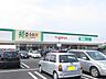 周辺：【スーパー】エブリィ　西阿知店まで250ｍ