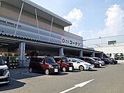 コーナンさんまで700ｍ