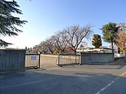 【小学校】太田市立薮塚本町南小学校まで1500ｍ