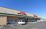 【スーパー】とりせん大原店まで2800ｍ
