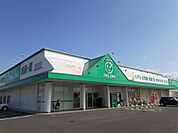 【ドラッグストア】ザグザグ白石店まで1100ｍ