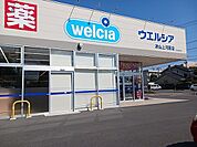 【ドラッグストア】ウエルシア　上河原店様まで1400ｍ
