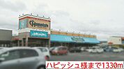 【スーパー】ハピッシュ様まで1330ｍ