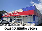 【ドラッグストア】ウェルネス馬潟店まで300ｍ