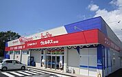 【ドラッグストア】ウェルネス 馬潟店まで650ｍ