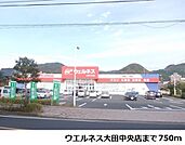 【ドラッグストア】ウエルネス大田中央店まで750ｍ