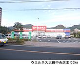 【ドラッグストア】ウエルネス大田中央店まで3000ｍ
