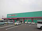 【ドラッグストア】コスモス観音寺店まで900ｍ