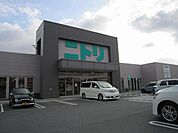 【ホームセンター】ニトリ近江八幡店まで260ｍ