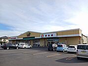 【スーパー】サンユーストアー　渡里店まで450ｍ