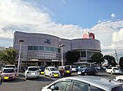 【スーパー】マルナカ坂出店まで200ｍ