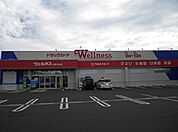 【ドラッグストア】ウェルネス出雲大社店まで900ｍ