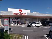 【スーパー】マルナカ高瀬店まで1450ｍ