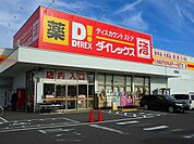 ダイレックス明神店まで800ｍ