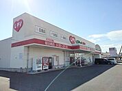 【ドラッグストア】くすりのレディ坂出南店まで600ｍ