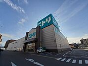 ニトリ松山店様まで500ｍ