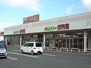 ダイソーイオンタウン川之江店まで1100ｍ