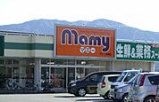 【スーパー】マミー二枚橋店まで1300ｍ