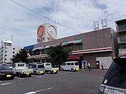 【スーパー】マルナカ善通寺店まで1200ｍ