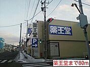 【ドラッグストア】薬王堂まで80ｍ