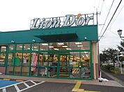 【スーパー】リオン・ドール南中央店まで1100ｍ