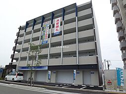 エバーフェニックス 205