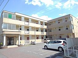 Ｃｏｎ　Ｂｒｉｏ 207