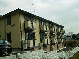 ドミール・フジ 105