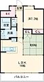 River'sMansionTSUKIZUTE34階7.4万円