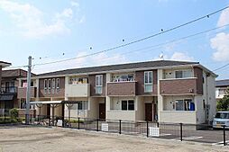 サリーチェ　IV