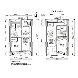 東雲キャナルコートＣＯＤＡＮ11号棟 6階3LDKの間取り