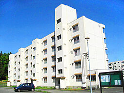 ビレッジハウス八尾3号棟 0101