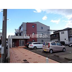 ピースフル・ムーン 303