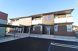 シーダールシア 201