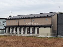 Mercedario(メルセダリオ) 201