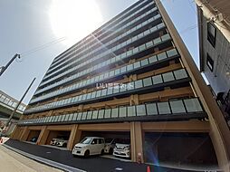 ＬＩＶＩＡＺ　ＫＯＢＥ　ＳＯＬＥＩＬ 503