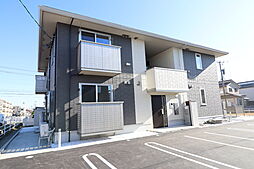 Dianthus(ディアンサス） 102