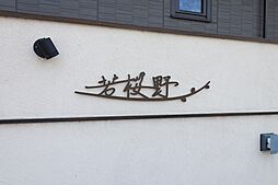 3 / 13