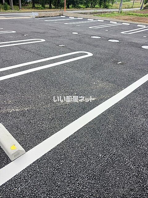 12 / 20