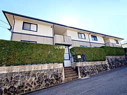 ハイカムール間瀬貝　Ｂ