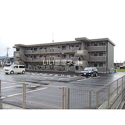 リバティゾーン