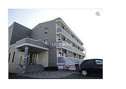 ブライトリーＴ 101