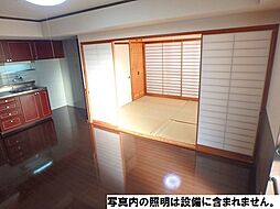 熊本市電A系統 交通局前駅 徒歩9分の賃貸マンション 5階3LDKのリビング/ダイニング