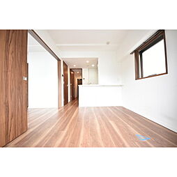 ゼクシア川崎 0801B 8階1DKのリビング/ダイニング