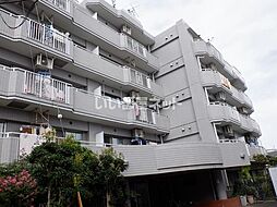 ロイヤルシーダ 207