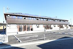 premier couleur（プルミエ クルール） 206