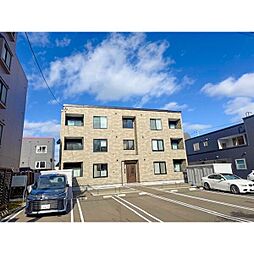 ノルフィーノジニア 2-A